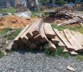 ერთ თვეში სამეგრელო-ზემო სვანეთში უკანონო ტყითსარგებლობის 27 ფაქტი აღირიცხა